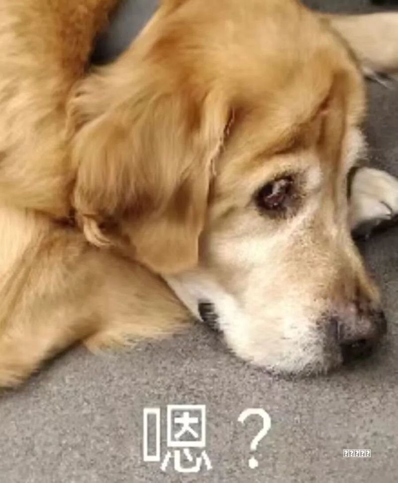 美国汽车博主试驾吉利星愿后的感受分享思路：太希望它进入美国市场